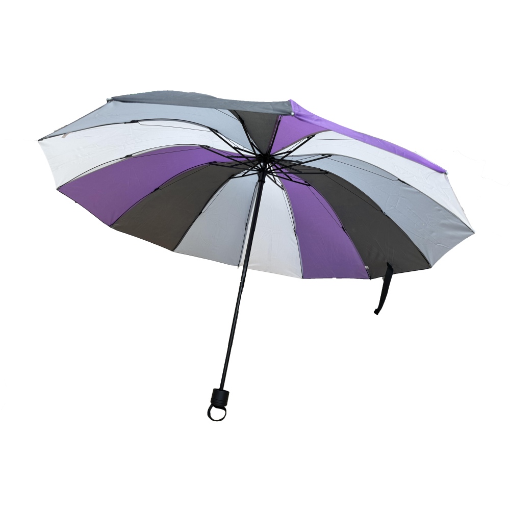 Zac's Alter Ego - Asexual Colour Foldable with Case Regenschirm - Mehrfarben